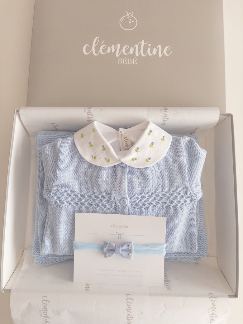 Salvia Coming Home Set